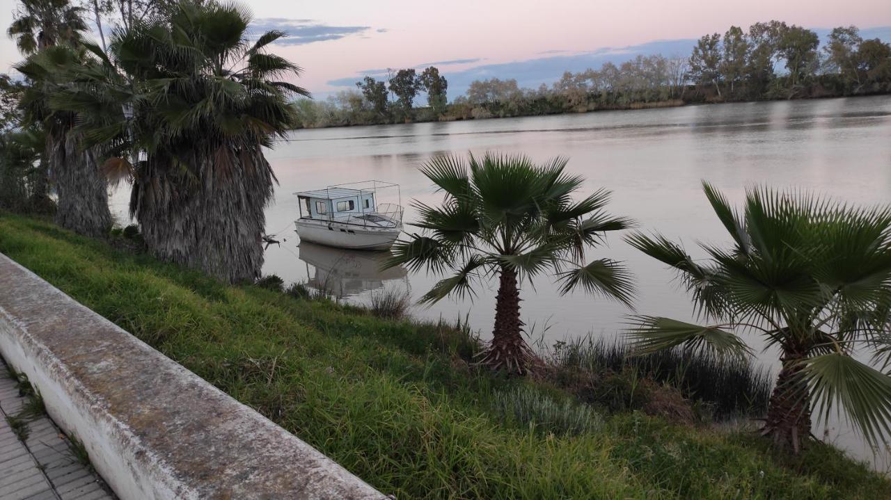 Habitacion Doble Con Aseo Compartido Coria Del Rio Bagian luar foto